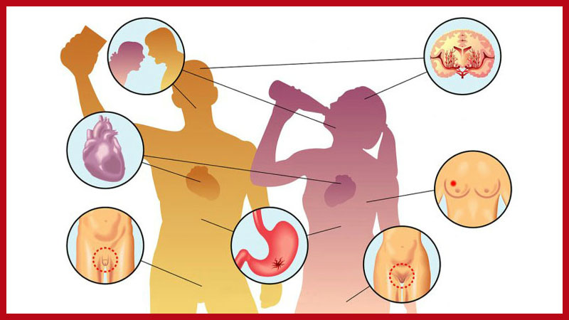 влияние алкоголя на организм